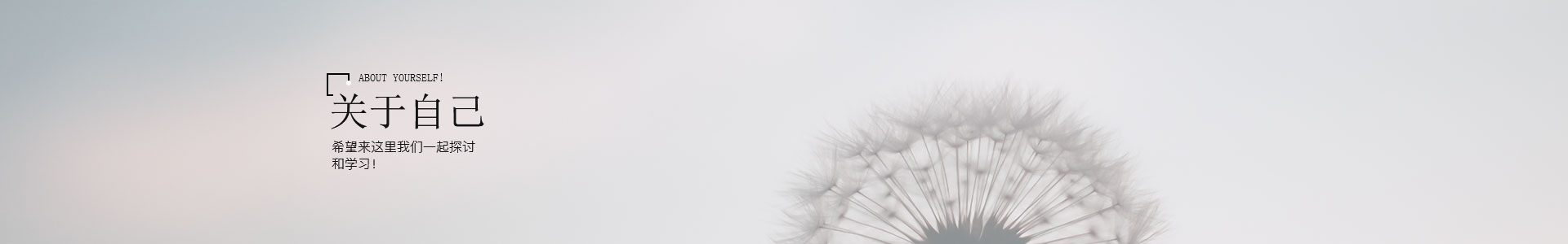 banner